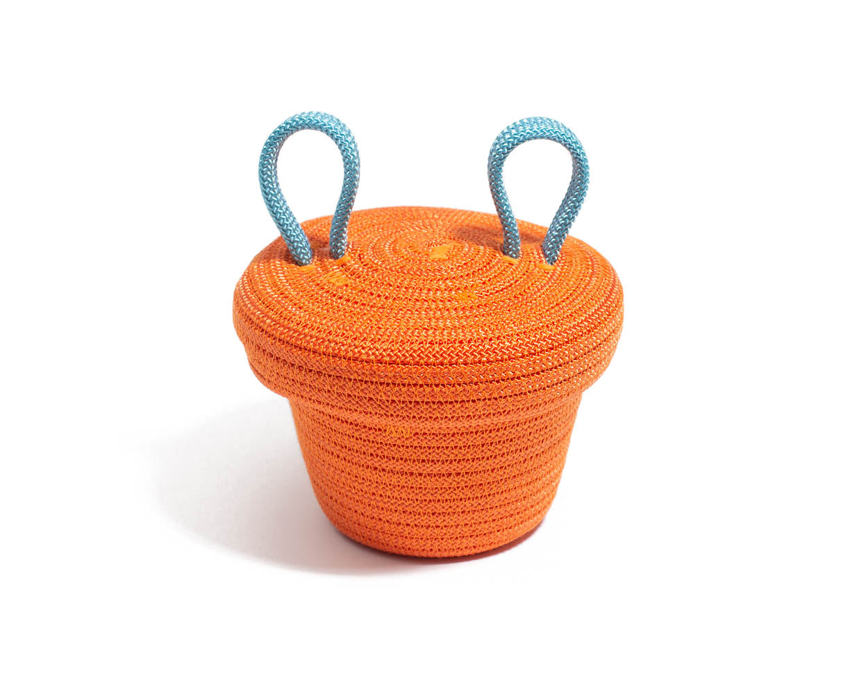 Crazy Head Mini - Clementine Dream